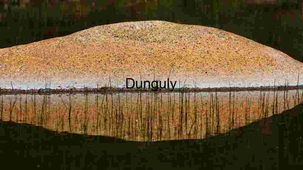Echo in Stillness: Submerged Rock and Aquatic Reflection