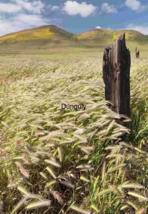 Swaying Grasses by Soda Lake, Carrizo Plain National Monument