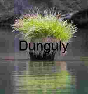 Floating Grass Island on Shasta Lake