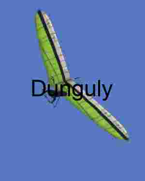 Hang Glider in Clear Blue Sky – Freedom, Flight, and Aerial Adventure