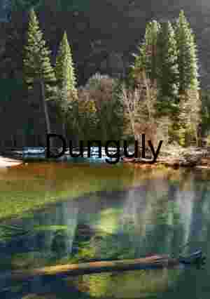 Luminous Merced River: Green Water Light, Log, and Pines