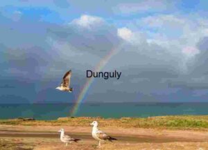 Seagulls Beneath a Double Rainbow: Coastal Calm After the Storm