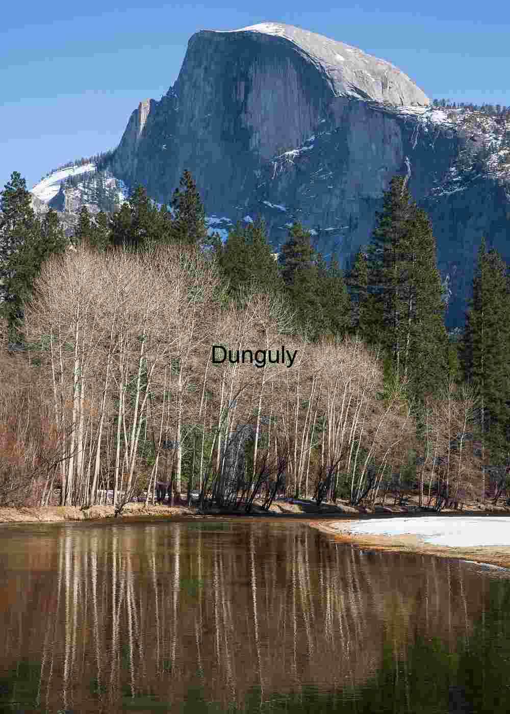 Half Dome View: Bare Aspen Reflection on Yosemite River