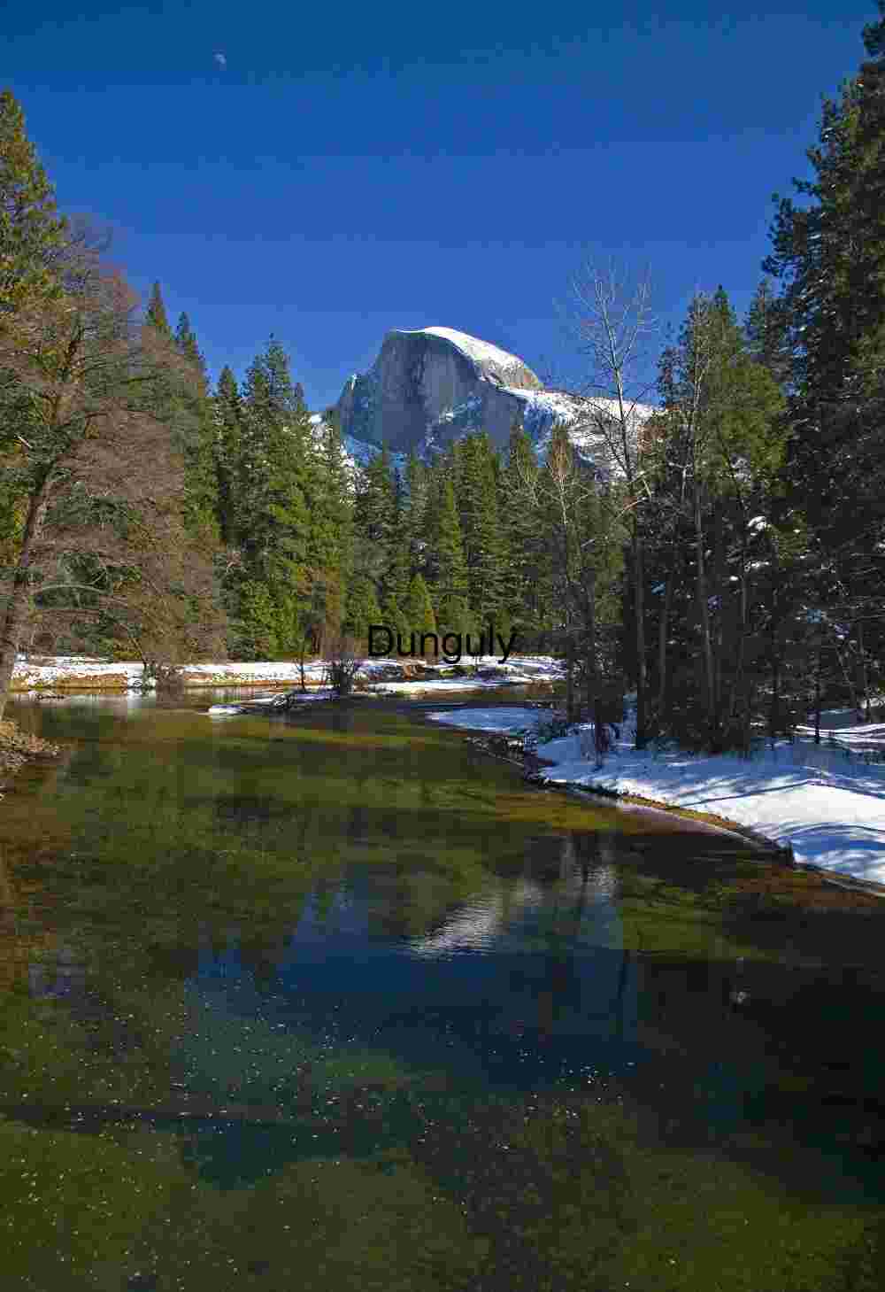 Half Dome, reflection in, Merced River ; Yosemite N.P. | Bare Aspen Reflection on Yosemite River