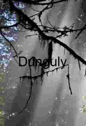 Authentic Nature, Wildlife & Conceptual Photography for Stock & Editorial Licensing