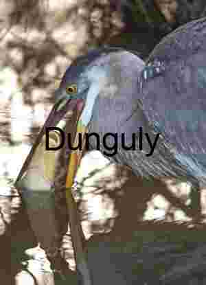 Nature’s Drama: Predator and Prey in Still Reflections