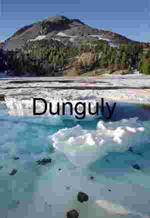 Thaw and Timber: Ice Floats Beneath Alpine Shadows