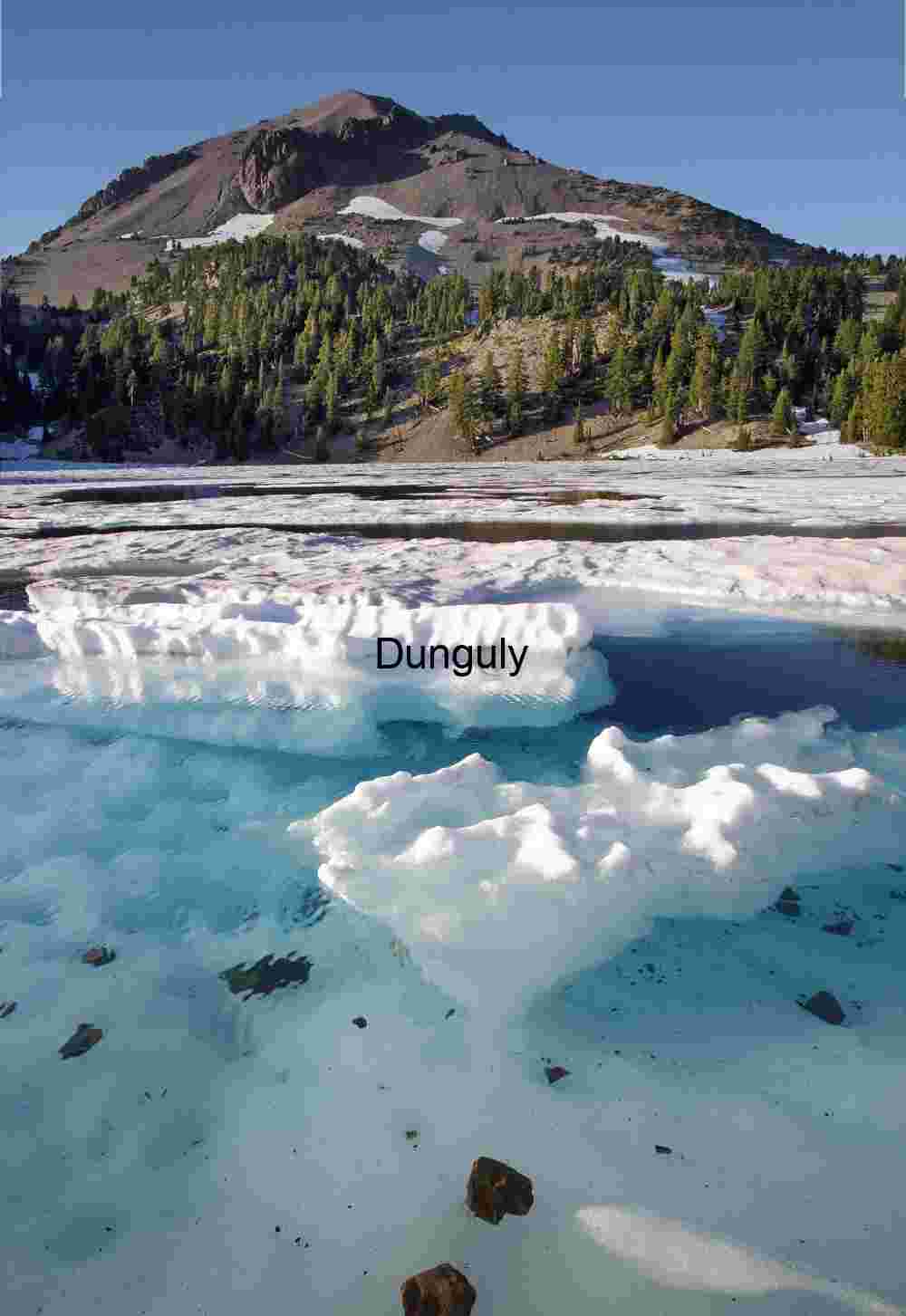 Thaw and Timber: Ice Floats Beneath Alpine Shadows
