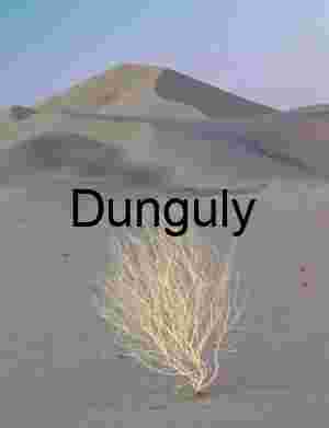 Contours of Vastness: Dunes Framed by Mountain Silence