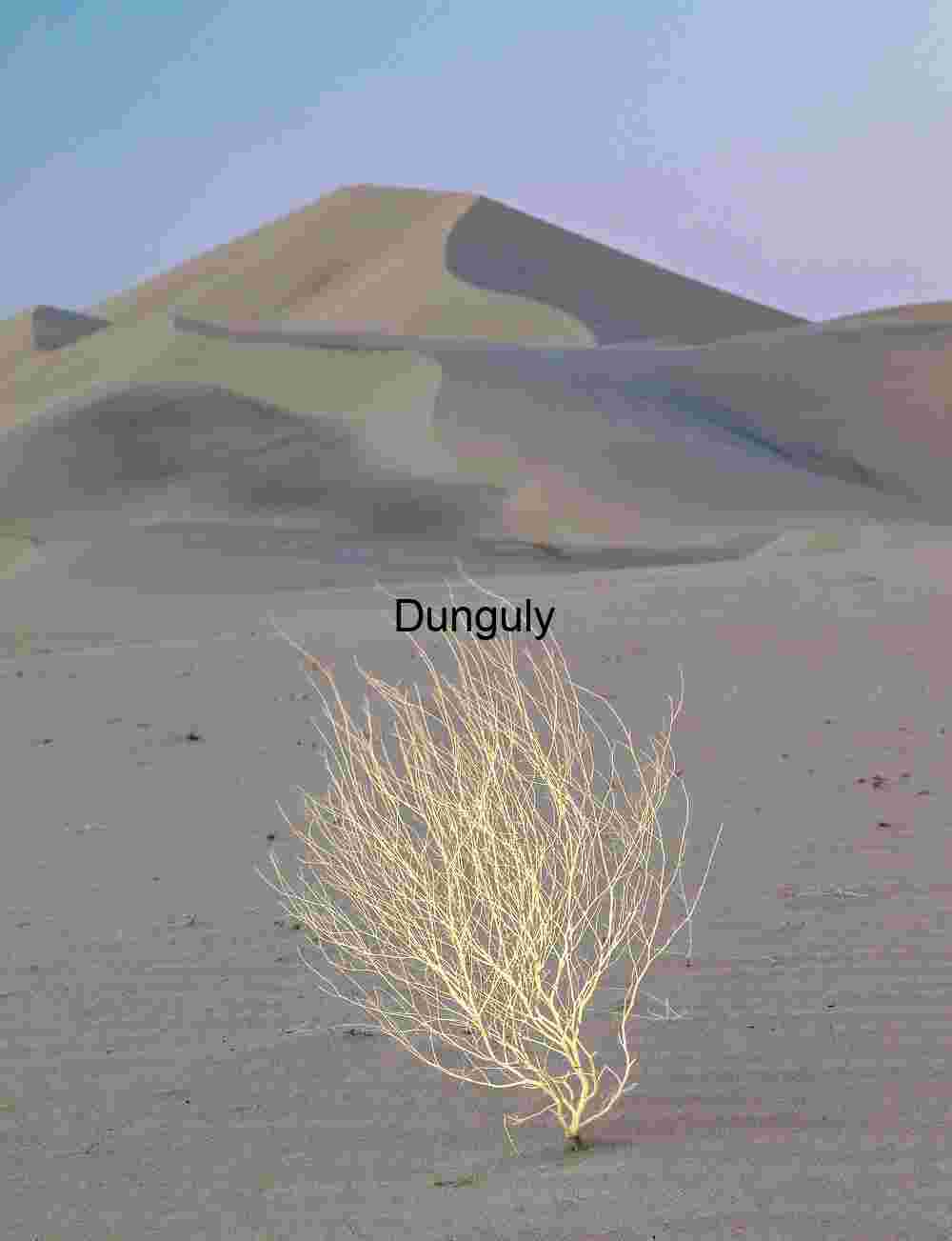 Contours of Vastness: Dunes Framed by Mountain Silence