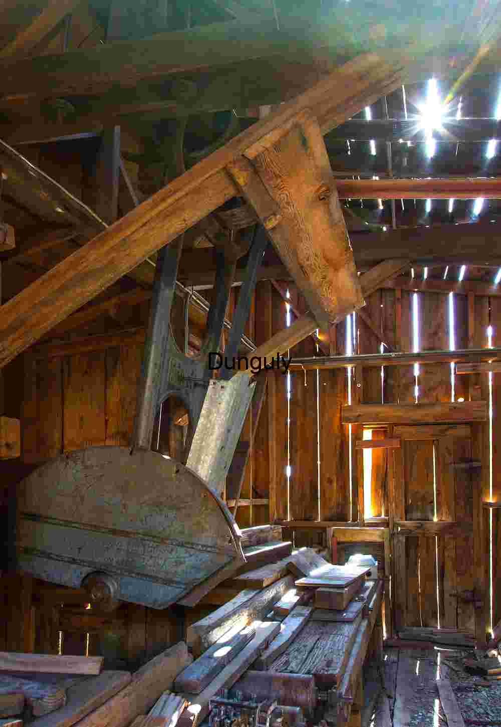 Cutting Through Time: Bandsaw in Wooden Silence