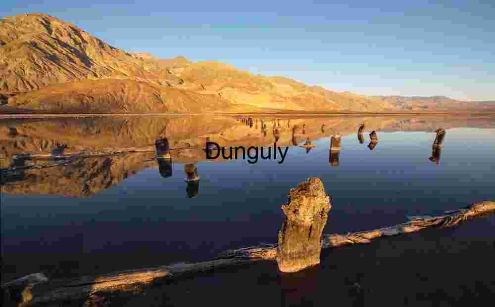 Weathered Wooden Posts in Reflective Lake at Sunset
