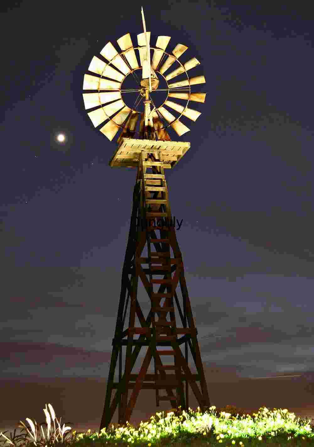 Rustic Windmill Under Moonlit Sky