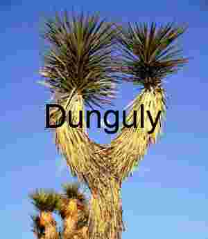 Celestial Framing: Moon Nestled Between Joshua Tree Branches