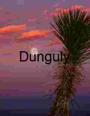 Moonrise Bloom: Desert Twilight with Yucca Silhouette