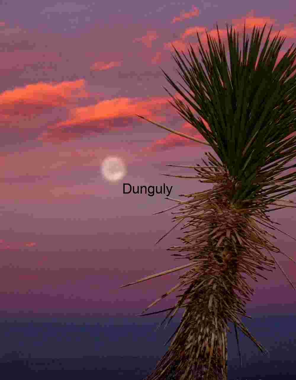 Moonrise Bloom: Desert Twilight with Yucca Silhouette