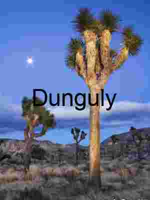 Moonlit Terrain: Joshua Trees Beneath Desert Twilight