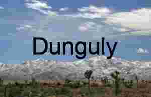 Desert Meets Snow: Joshua Trees Beneath Mountain Peaks