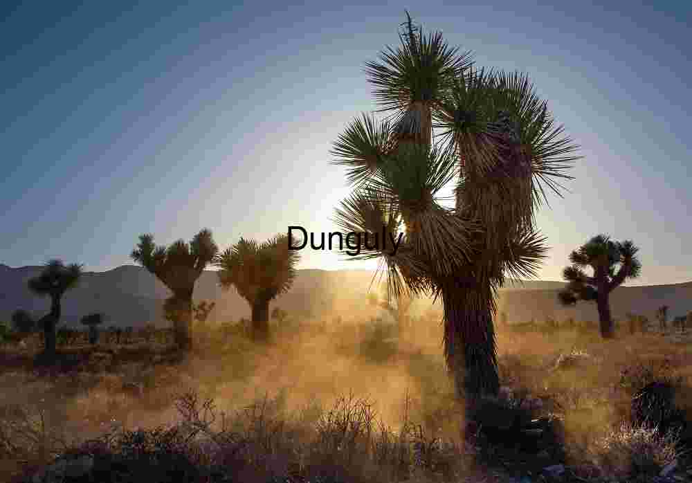 Joshua Tree at Sunset in Mojave Desert Landscape