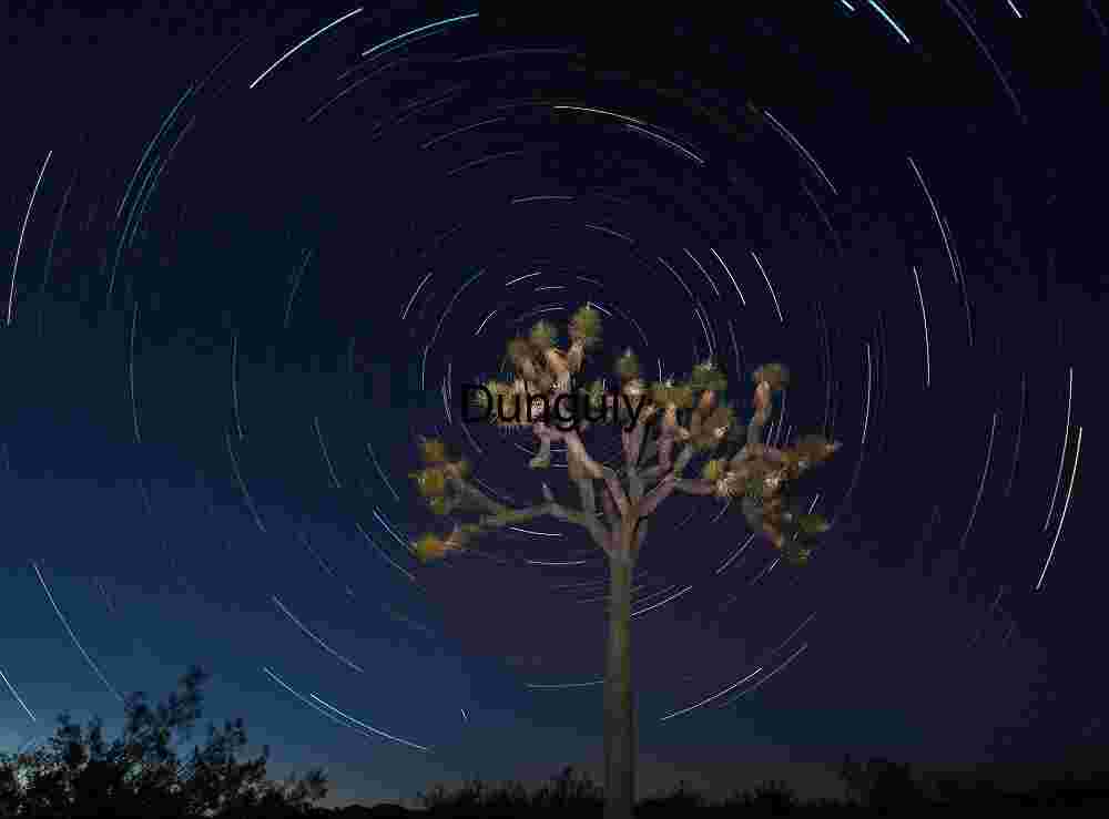 Orbiting Stillness: Star Trails Above a Desert Sentinel