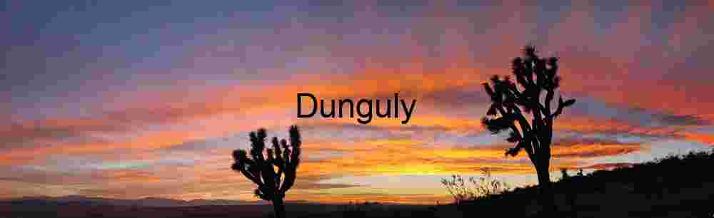 Silhouetted Joshua Trees Beneath Vibrant Desert Sunset Sky