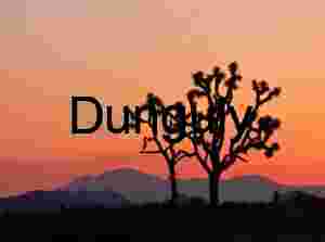 Twin Guardians: Joshua Trees Framed by a Painted Desert Sky