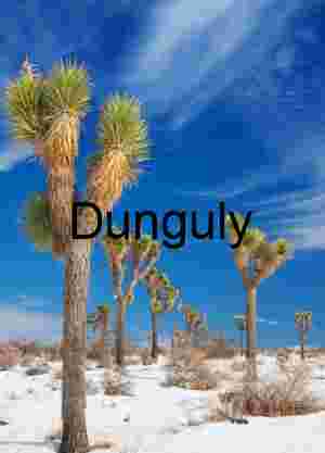 Frozen Desert: Joshua Trees in a Snow-Covered Mojave Landscape