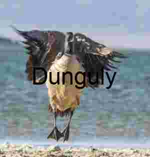 Suspended Grace: Canada Goose in Flight Over Mountain Lake
