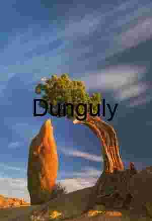 Twist and Tower: Desert Tree and Monolith Under Moving Skies