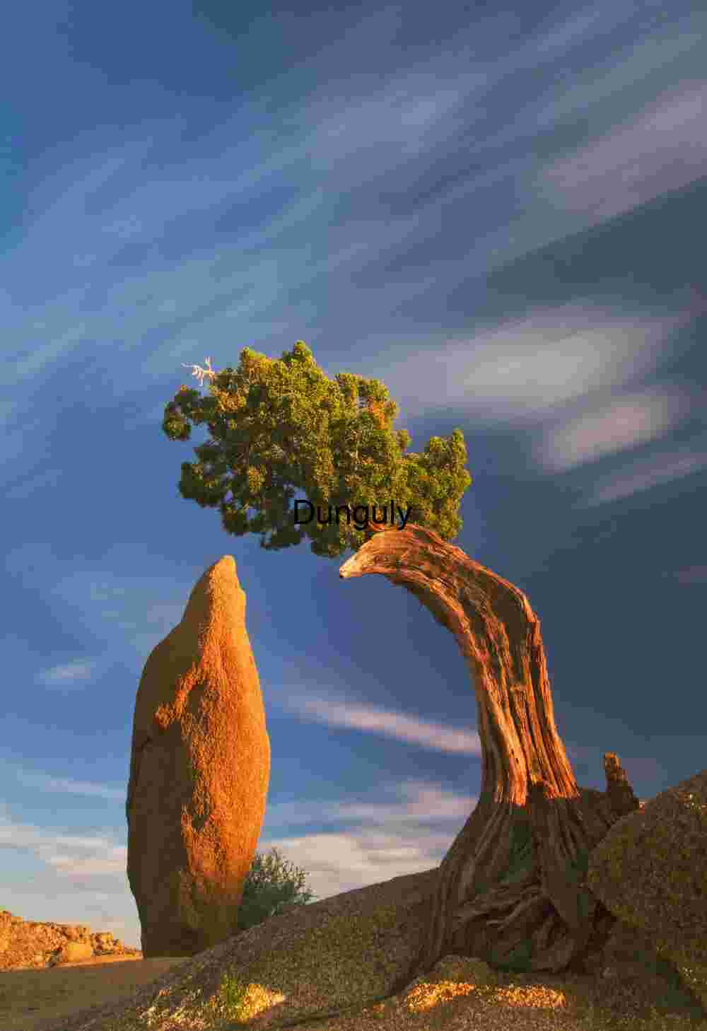 Twist and Tower: Desert Tree and Monolith Under Moving Skies