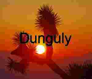 Solar Embrace: Joshua Tree Silhouette Framed by Fiery Horizon