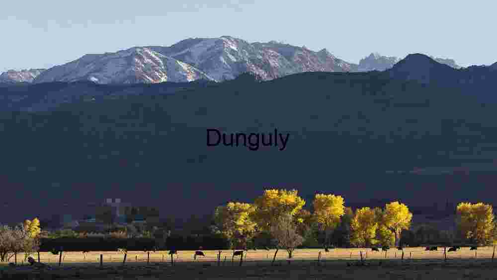 Autumn Valley with Snow‑Capped Mountains, Golden Trees, and Grazing Cattle in Rural Countryside" Balanced for editorial storytelling, descriptive accuracy, and keyword density without feeling spammy.