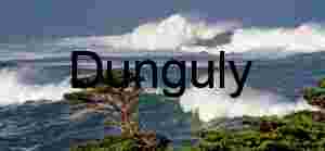 Storm-Swept California Coastline with Windswept Cypress and Turbulent Waves