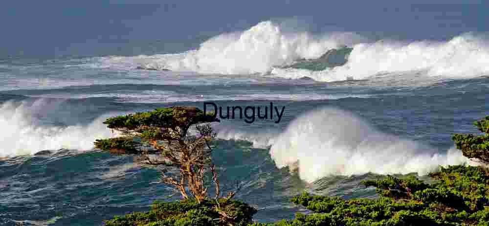 Storm-Swept California Coastline with Windswept Cypress and Turbulent Waves
