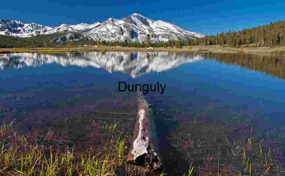 Brushstrokes of Summer: Indian Paintbrush in Alpine Bloom