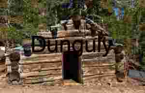 Wired Silence: Rustic Cabin in Pinewood Isolation