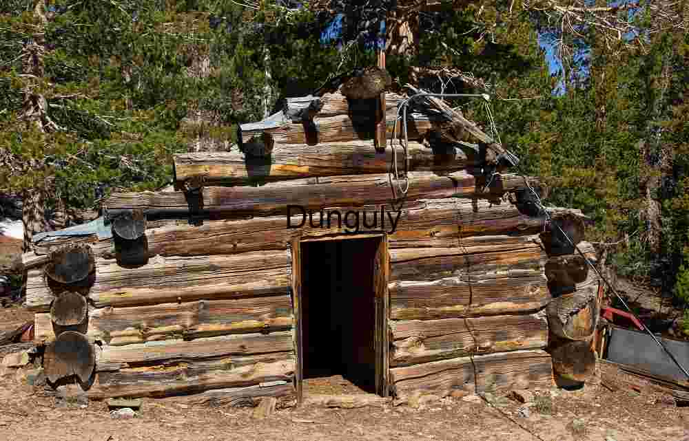 Wired Silence: Rustic Cabin in Pinewood Isolation