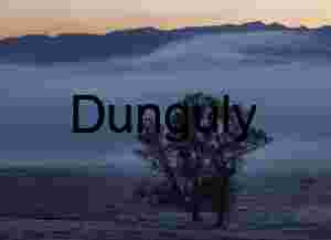 Misty Dawn Over Mountain Valley with Silhouetted Tree