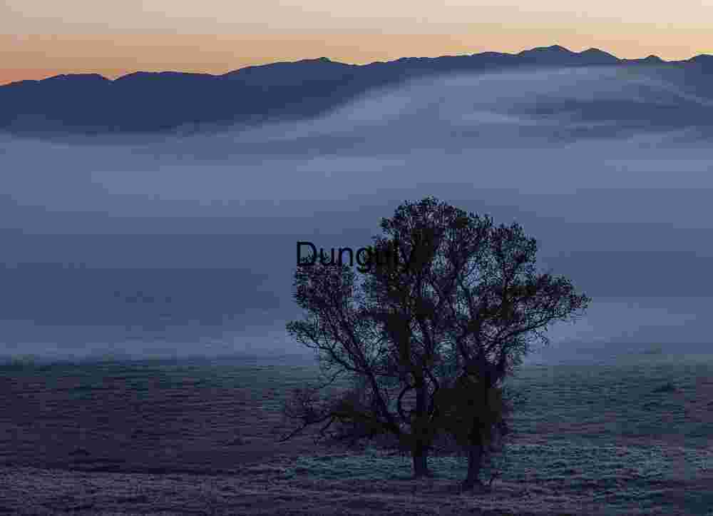 Misty Dawn Over Mountain Valley with Silhouetted Tree