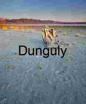 Desert Silence: Weathered Form and Distant Horizon