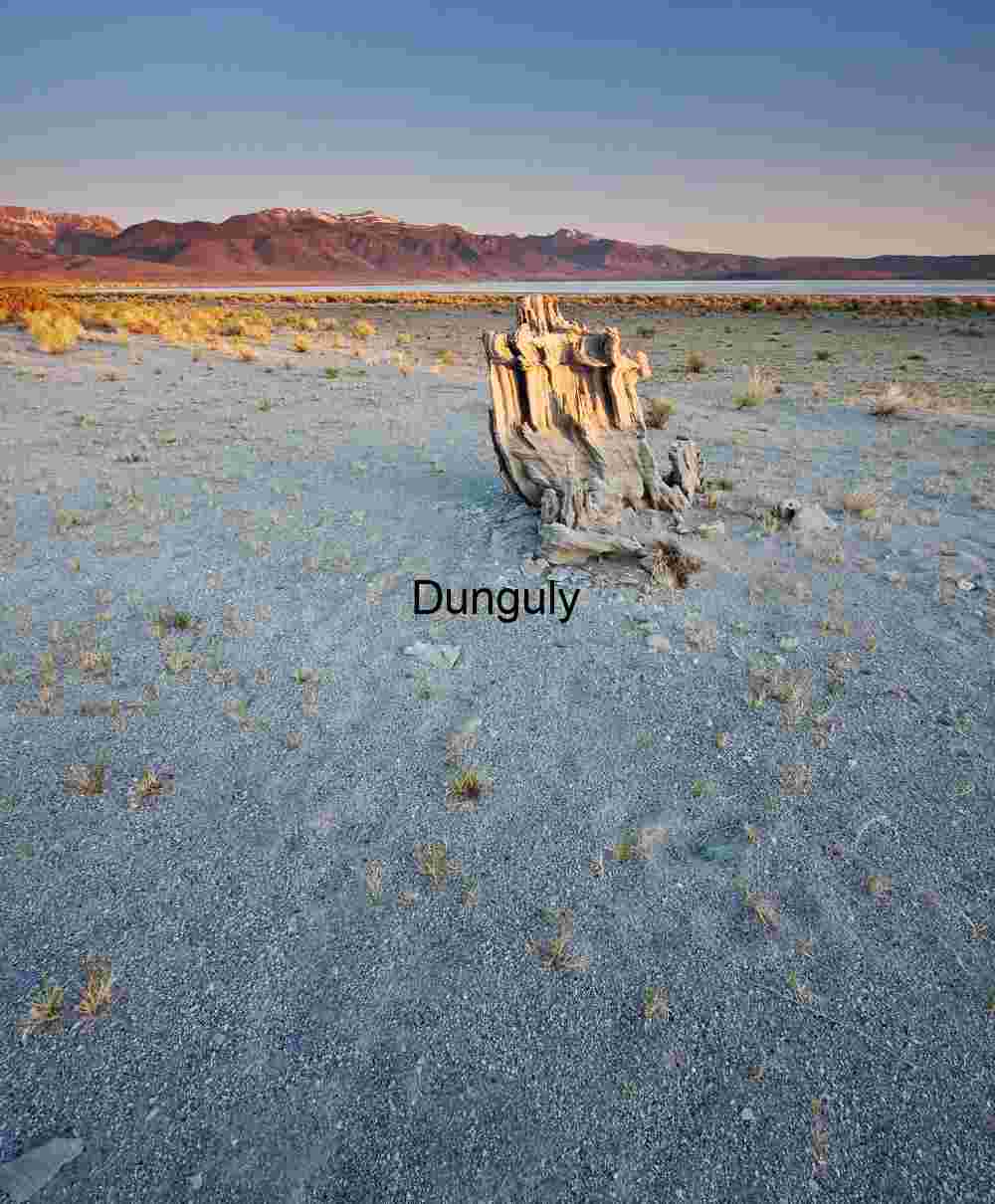 Desert Silence: Weathered Form and Distant Horizon