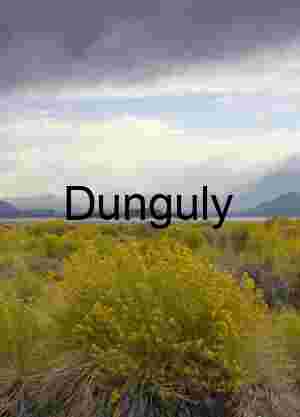 Stormlight Over Wildflower Plains