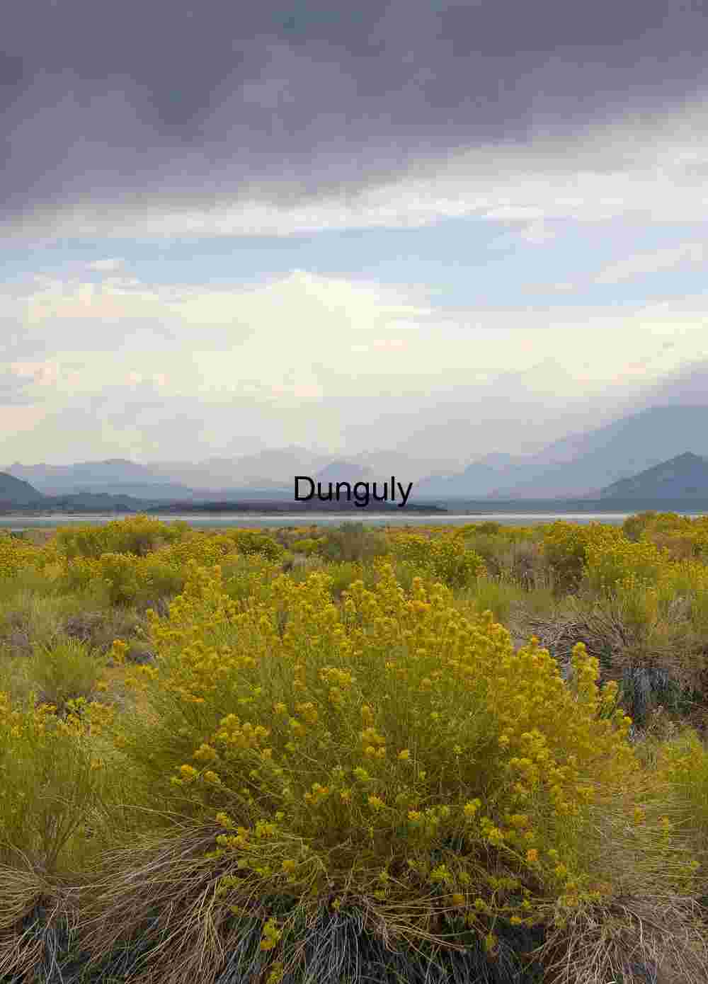 Stormlight Over Wildflower Plains