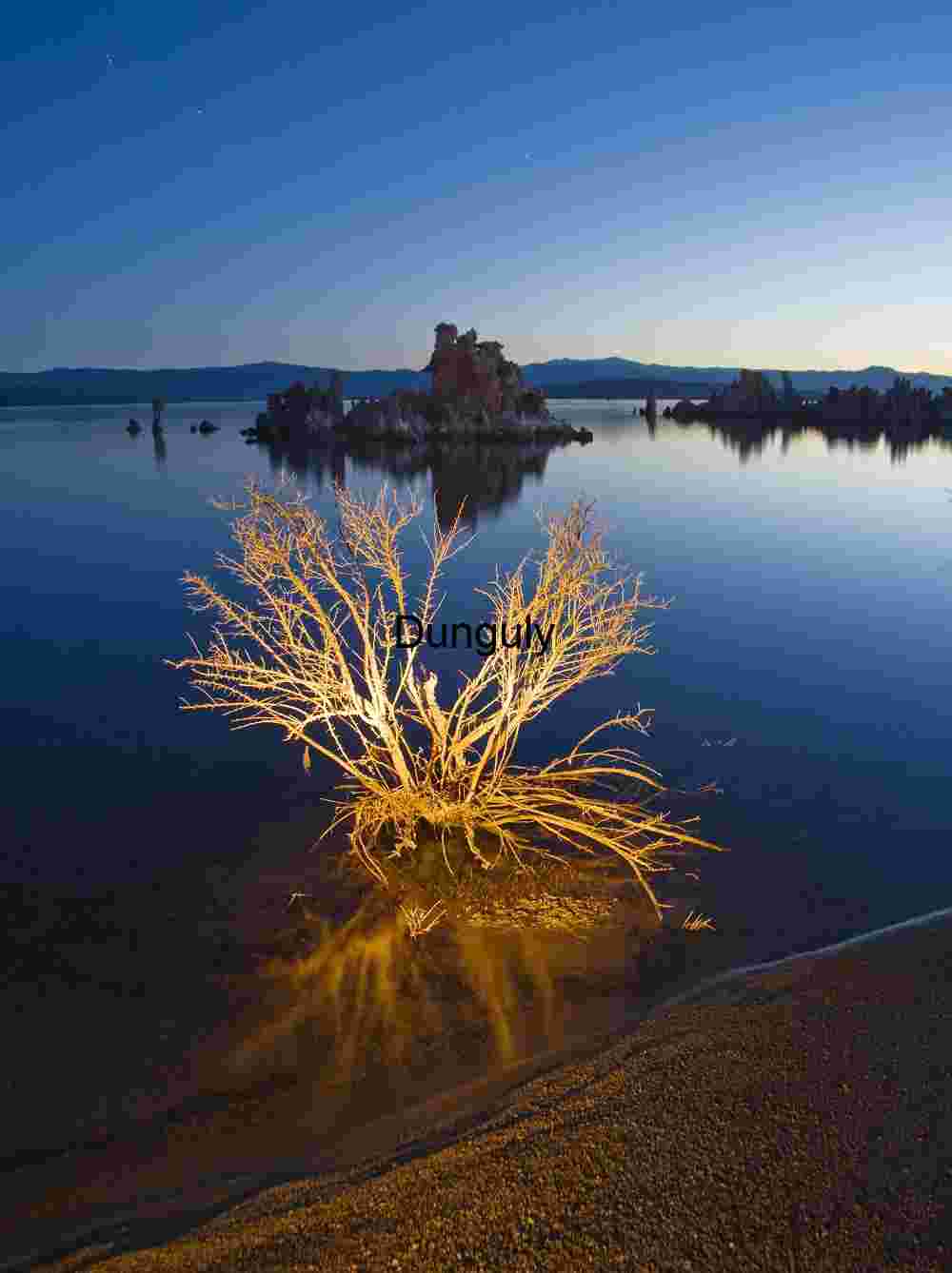 Twilight Contrast: Illuminated Brush and Tufa Reflections at Mono Lake