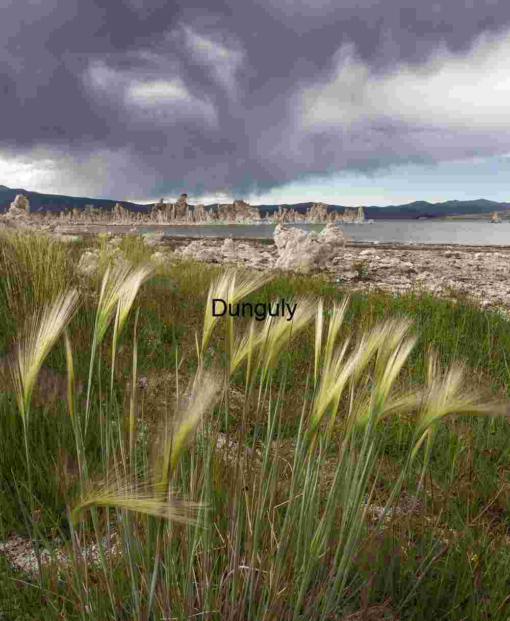 Storm Over Mono Lake: Tufa Towers and Windswept Grasses