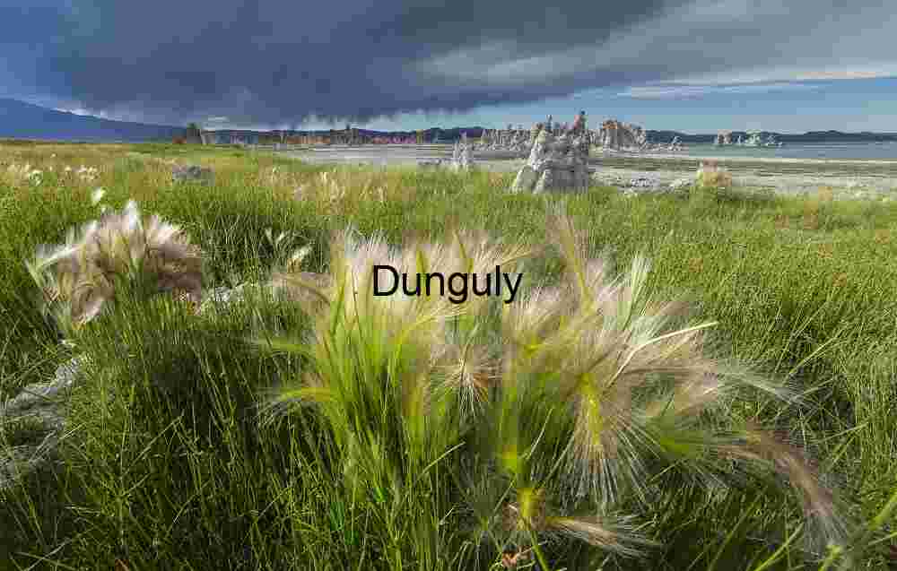 Stormlight at Mono Lake: Grasses, Tufa, and Gathering Skies