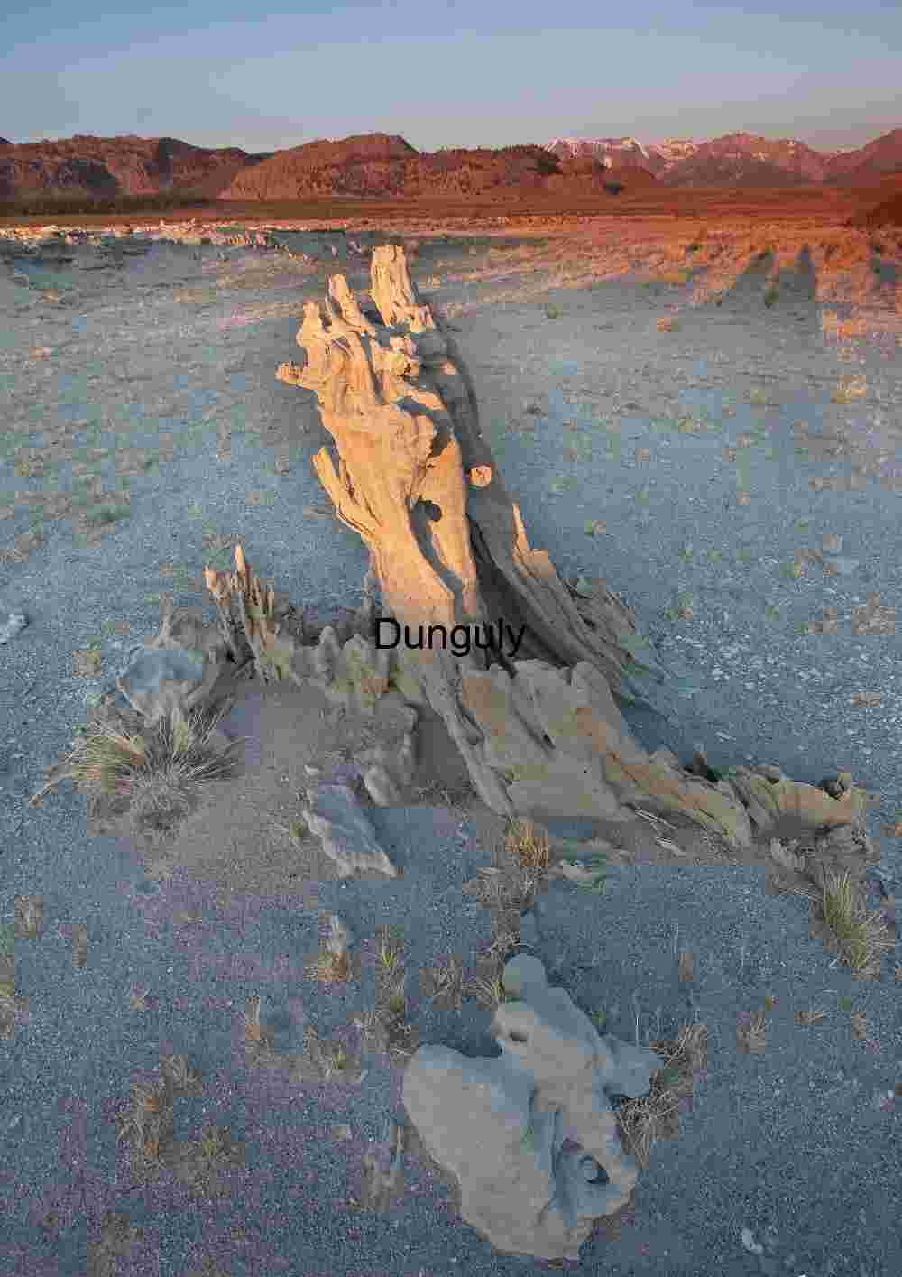 Star Trails Over Tufa Formations at Mono Lake