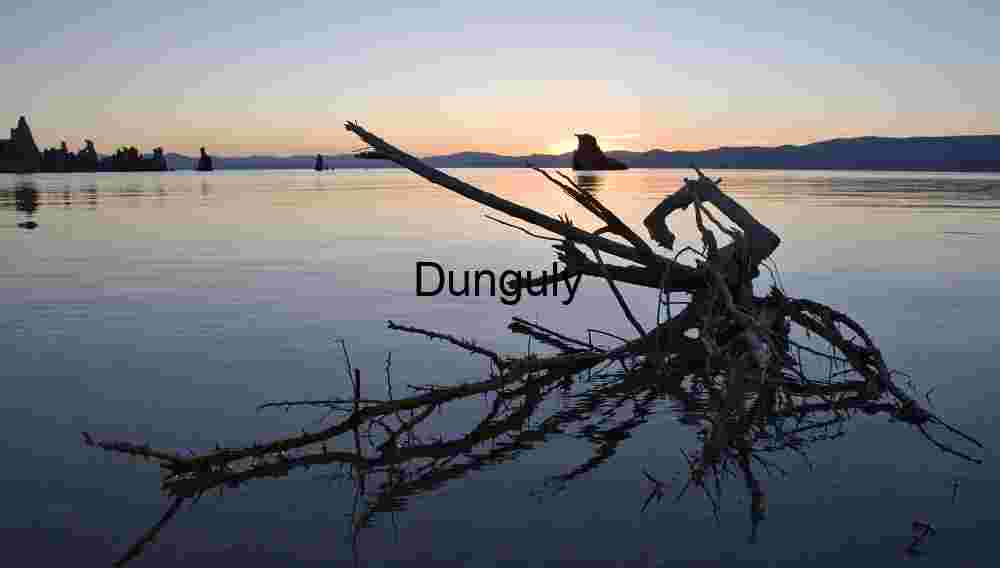 Driftwood and Tufa Towers at Mono Lake Sunset