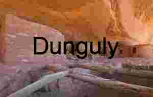 Ancient Puebloan Ruins & Roof Beams Under Sandstone Alcove