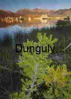Tufa Towers and Spring Vegetation Reflected in Mono Lake